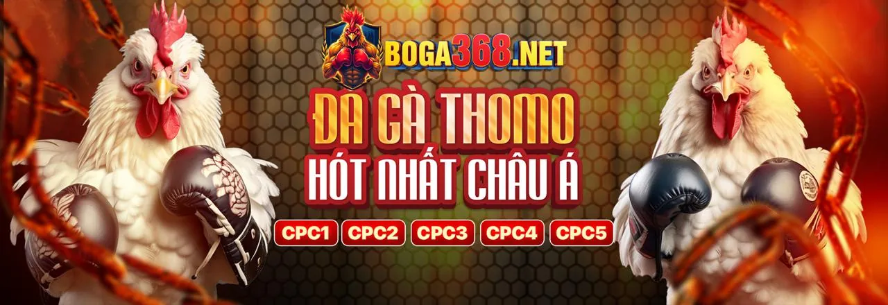Sới gà trực tuyến helo888 đỉnh cao, với các chiến kê dũng mãnh và không khí sôi động